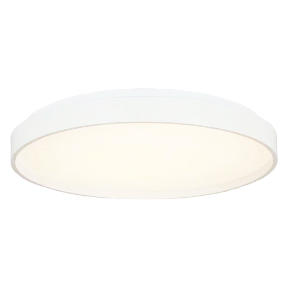 Flush Mounts White Body